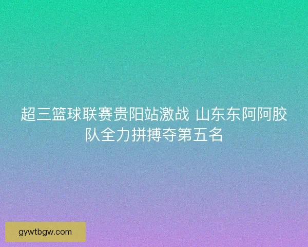超三篮球联赛贵阳站激战 山东东阿阿胶队全力拼搏夺第五名